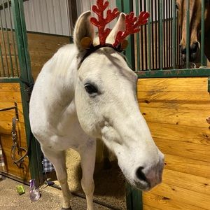 Meet your Posher, Christina